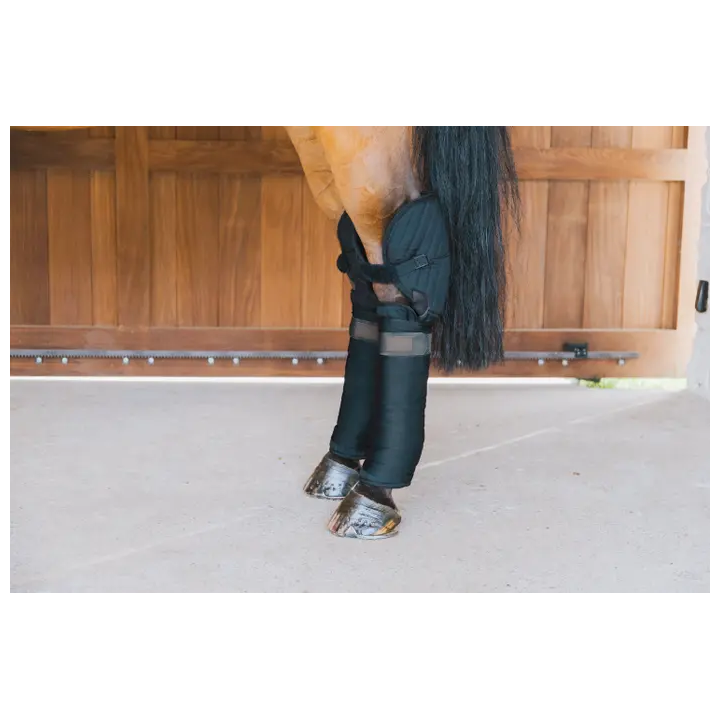 Kentucky Horsewear Transport und Stallbandagenunterlagen mit Sprunggelenkschutz
