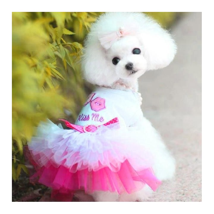 Haustier Welpe Kleine Hund Katze Spitzenrock Prinzessin Kleid Kleidung Kostüm L rosa