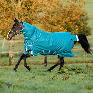 Horseware Amigo Bravo 12 Plus Turnout Heavy 400g