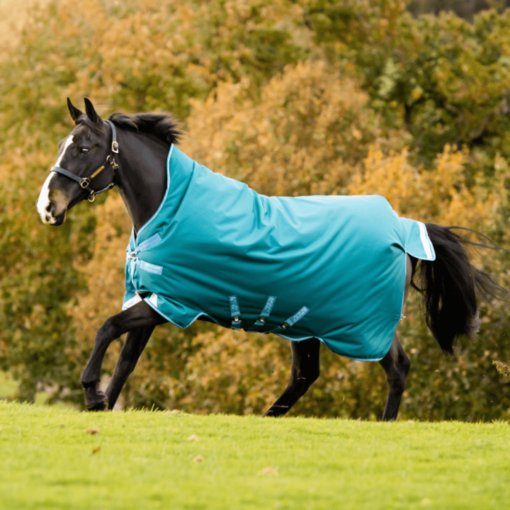 Horseware Amigo Bravo 12 Turnout Wug Heavy 400g