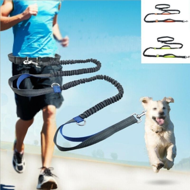 Reflektierende Leine Zugseil Haustier Hund Laufgürtel elastische Hände frei Joggen Pull Hundeleine blau