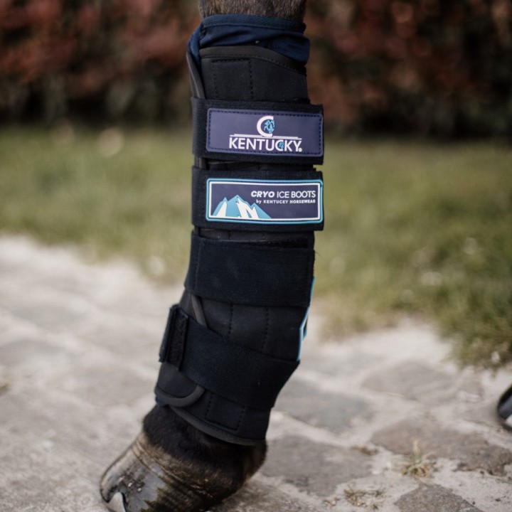 Kentucky Horsewear Cryo Ice Boots - schwarz