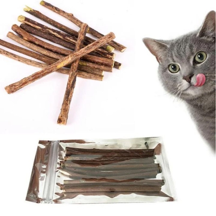 10/15/20 teile/los Katzenminze Stick Haustier Katze Molaren Spielzeug Natürliche Holz Polygonum Sticks Reinigung Zähne Linder