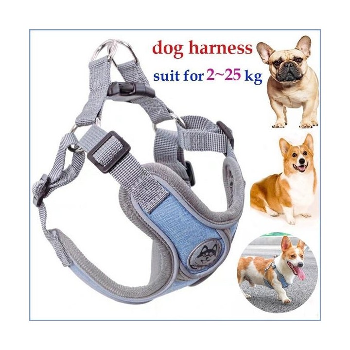 Atmungsaktives Hundegeschirr mit Leine, reflektierendes Oxford-Westengeschirr für Hunde, verstellbare Größe, kleine und mitte
