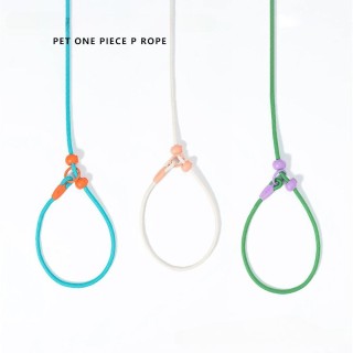 Trainingsleine für Hunde, Seil, 150 cm, leichtes Nylon-P-Kettenhalsband, verstellbar für kleine und mittelgroße Hunde, Laufle