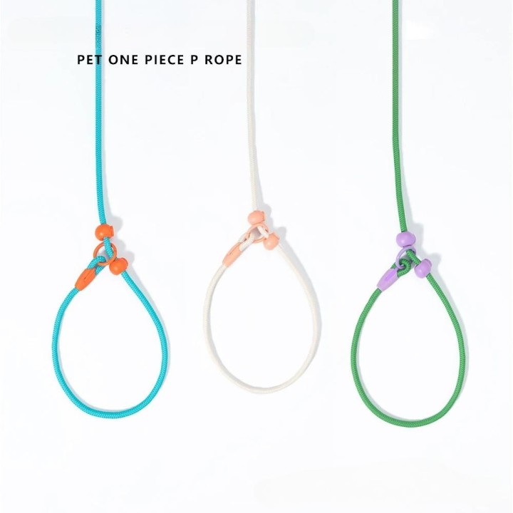 Trainingsleine für Hunde, Seil, 150 cm, leichtes Nylon-P-Kettenhalsband, verstellbar für kleine und mittelgroße Hunde, Laufle