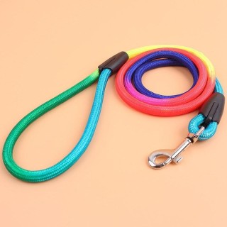 Strapazierfähiges Nylon Regenbogen 1,2 M Haustier Hundeleine Walking Training Leine Katzen Hunde Geschirr Halsband Leinen Gur
