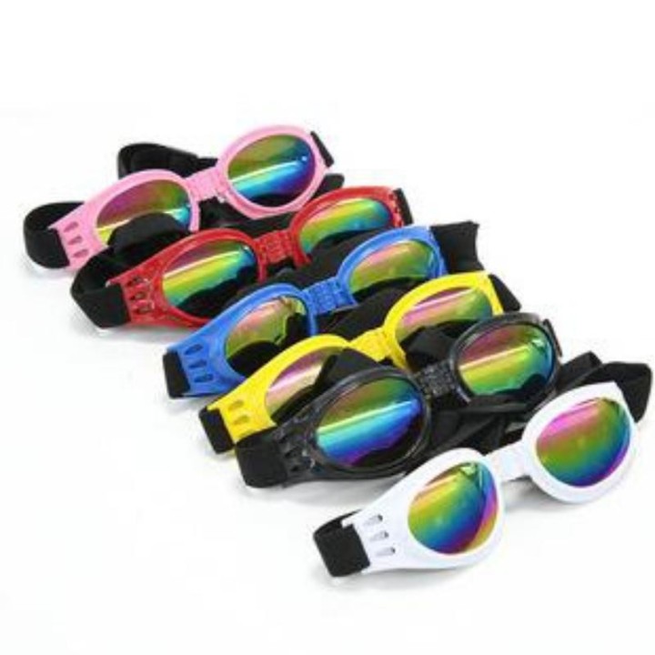 Modische Hundesonnenbrille, faltbar, Sonnenschutz, winddicht, Haustierzubehör blau