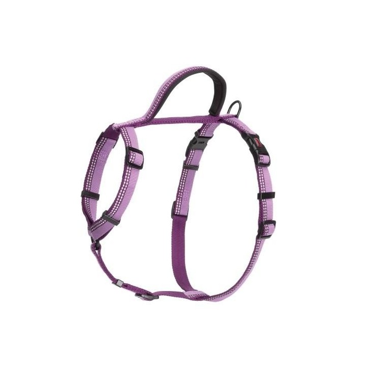 Halti Zweifarbiges Hundegeschirr für Spaziergänge Small- rot