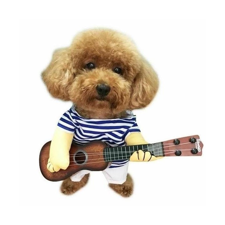 Kostüm für Hundekostüm Gitarrist