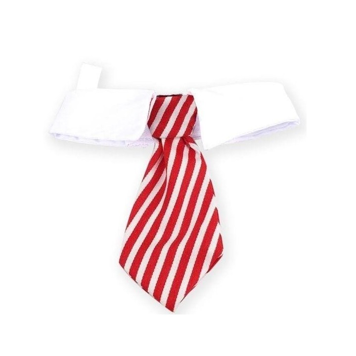 Krawattenhalsband für Haustier, Katze, Hund, Kostüm, weiß und rot gestreift