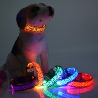Heimtierbedarf, leuchtendes Hundehalsband, LED-Licht emittierendes Halsband, Haustier-Leopardenfleck-Hundehalsband, fluoreszi