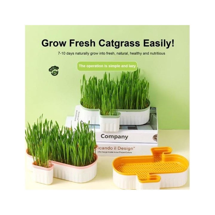 Hydroponischer Katzengras-Pflanztopf, abnehmbarer Boden, feines Filterloch, doppellagige, erdlose Katzenminzen-Snack-Anbaubox