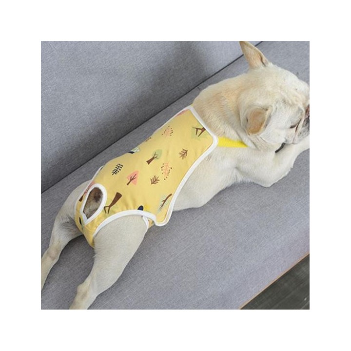 Kein Pilling, Cartoon-Druck, Hundewindel, weiche Haustier-Anti-Belästigungs-physiologische Hose XL gelb