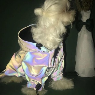 Blinkender Kapuzenpullover für Hunde, modische Hundekleidung, wasserdichte reflektierende Kleidung für große kleine Hunde, We