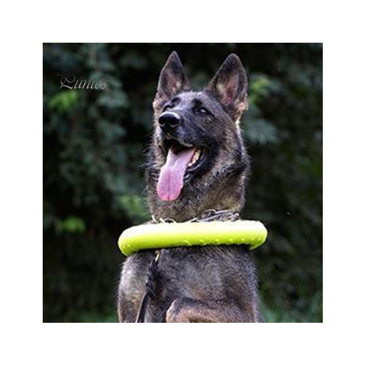 Hundespielzeug, leicht, schwimmend, Kauspielzeug für Haustiere, bissfest, interaktiver Hundetrainingsring für den Außenbereic