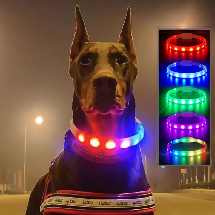 1PC Silikon-LED-Hundehalsband, wiederaufladbar über USB, leuchtendes Hundehalsband, Anti-Verlust/Autounfall-Sicherheit, Haust