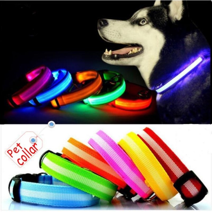 LED-Hundehaustierhalsband, blinkend, leuchtend, verstellbar, Sicherheitsbeleuchtung, Nylon-Tag M rosa