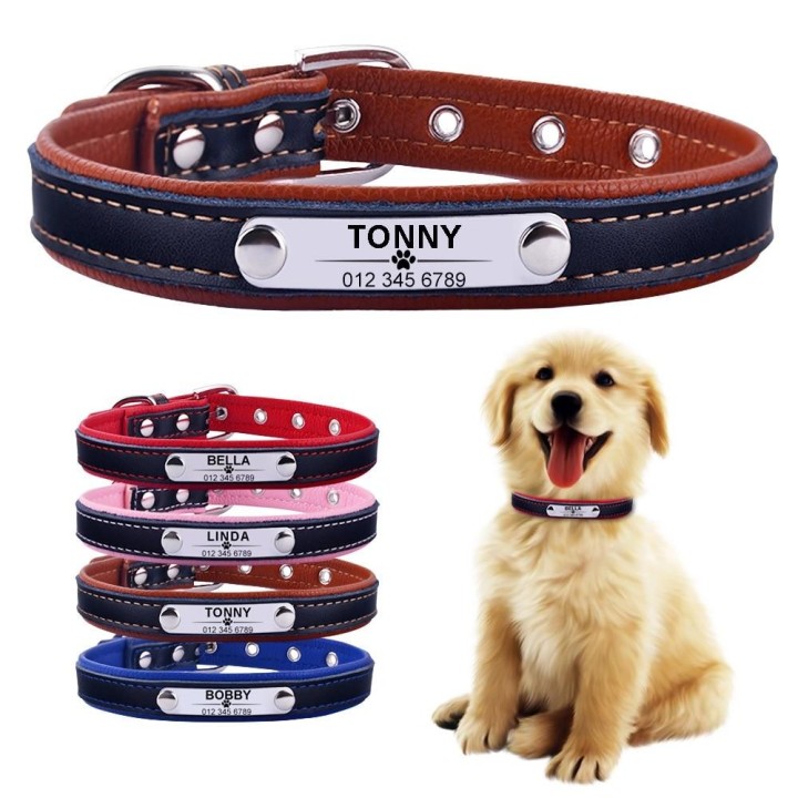 AiruiDog Verstellbares, personalisiertes Hundehalsband, Leder, Welpen-ID, Name, individuell graviert, XS-L XS 22-28cm blau