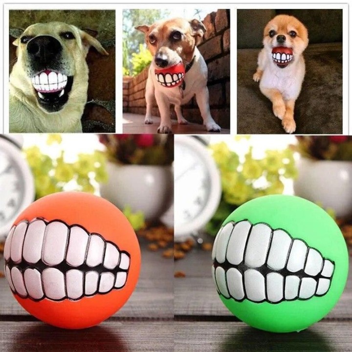 1 stück Gummi Hundespielzeug Quietschendes Reinigungszahn Hundekauspielzeug Kleines Welpenspielzeug Ball Bissfest Heimtierbed