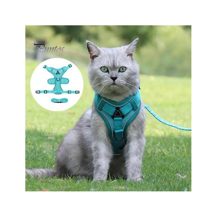 Katzengeschirr und Leine, reflektierende Streifen, Jacke, atmungsaktiv, verstellbare Weste, Geschirr, ausbruchsicher, leicht