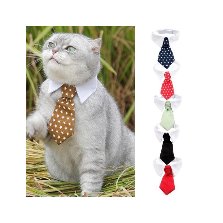 Haustier-Krawatte, stilvoll, verstellbar, helle Farbe, Verschlussband, Hunde- und Katzenhalsband, Haustierzubehör L