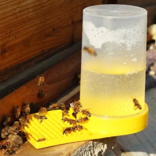 3Pcs Bee Waterers Transparent Sichtbar Bee Trinkbecher Bewässerung Station Beehive Eingang Feeder Bienenzucht Ausrüstung gelb