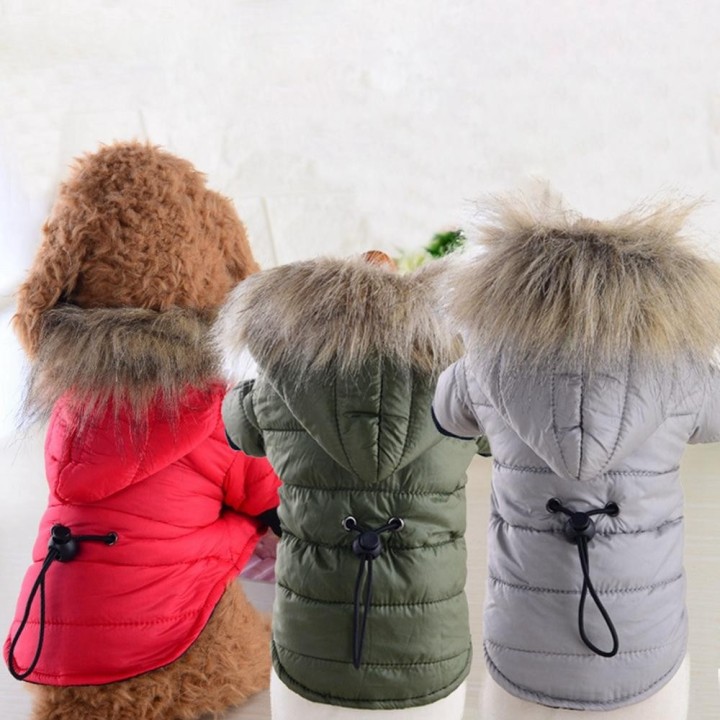Winterkleidung für Hunde, bequemer Hundemantel, Jacke mit Kapuze, Haustiere, Kleidung, warm, Chihuahua, weiches Fell, Kapuzen