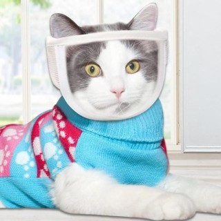 Dress-Up Anti-Lecken, kreativ, Anti-Biss-Katze, Anti-Riss, klare Fellpflege, Maulkorb für Haustiere M