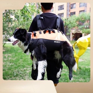 Haustier-Rucksack für große Hunde, multifunktionale Airborne-Tasche, Schultergurt, Outdoor-Walking-Bahre, behindertengerechte