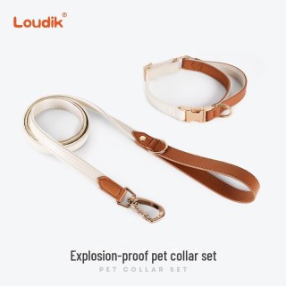 Modische hochwertige Haustierleine und -halsband aus Leder für mittelgroße und große Hunde. Size S orange