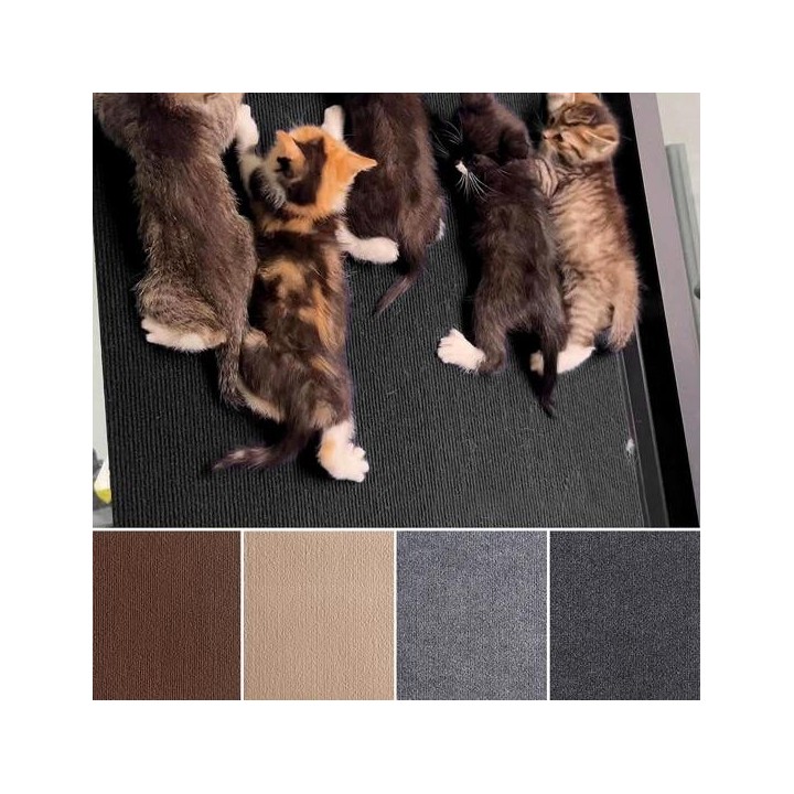 Selbstklebende Katzenkratzmatte, starke Klebrigkeit, einfach zu installierender Möbelschutz, wiederverwendbares Kratzbrett, H