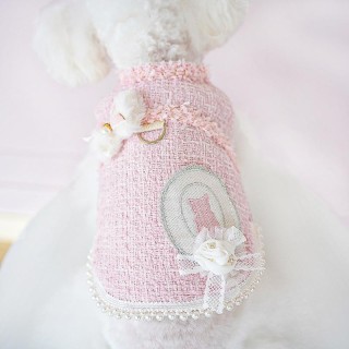 Herbst Winter Haustier Katze Kleidung Warm Haute Couture Plain Chihuahua Mantel Luxus Kleine Hundekleidung XS