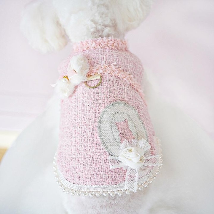 Herbst Winter Haustier Katze Kleidung Warm Haute Couture Plain Chihuahua Mantel Luxus Kleine Hundekleidung XS