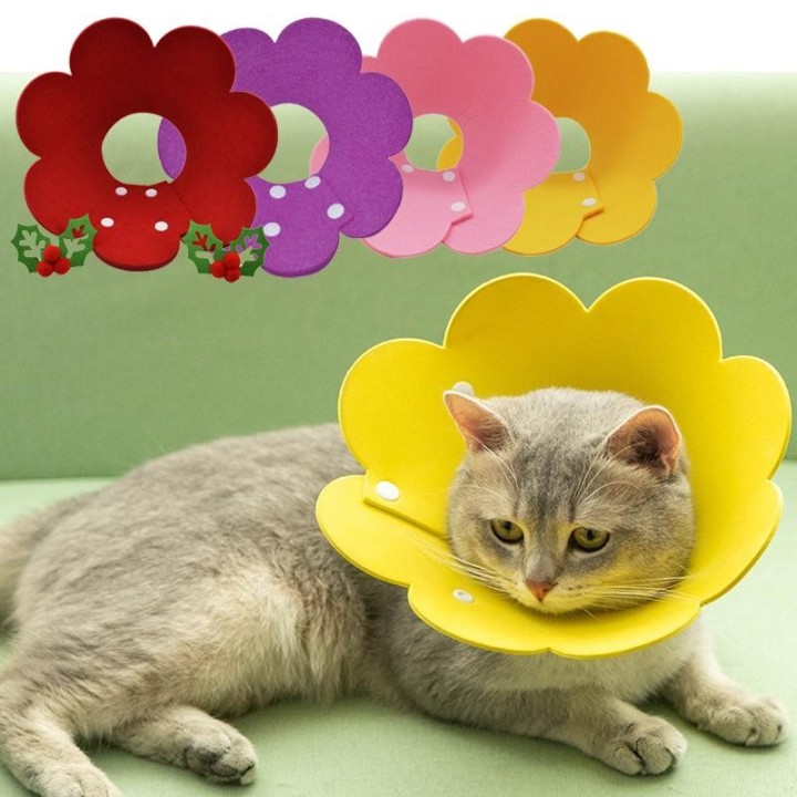 1PC Anti-Scratch Biss einstellbar Filz Blume Form Elizabeth Kreis Katze Kragen Haustier Produkt XS rot
