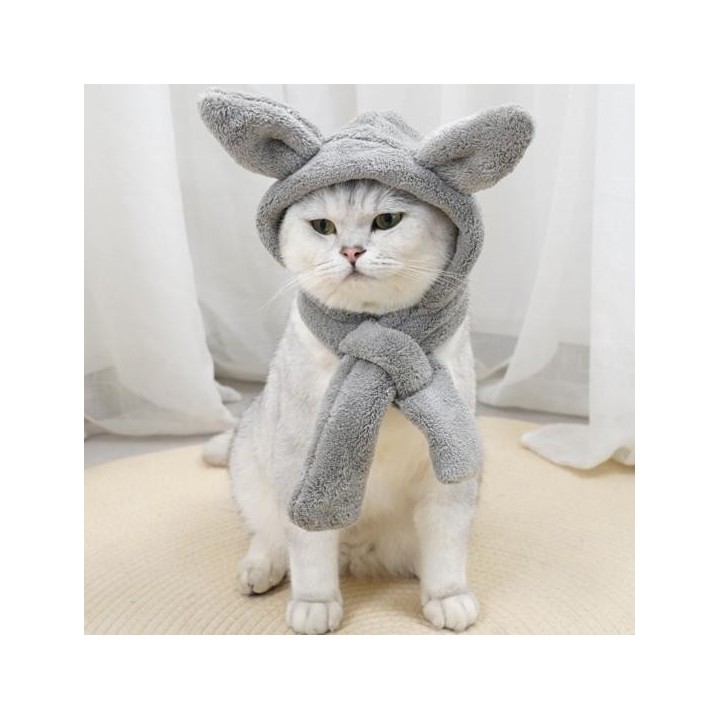 Haustier-Hut, bequemer Winter-Hundehut, Schal, Korallen-Fleece, Katzen-Kopfbedeckung mit dreidimensionalen Ohren, Heimtierbed