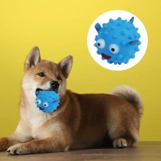 Haustier Hund Kauspielzeug Sound Biss Spielzeug Haustiere Molar Interaktives Spielzeug für kleine mittelgroße Hunde Katzen We