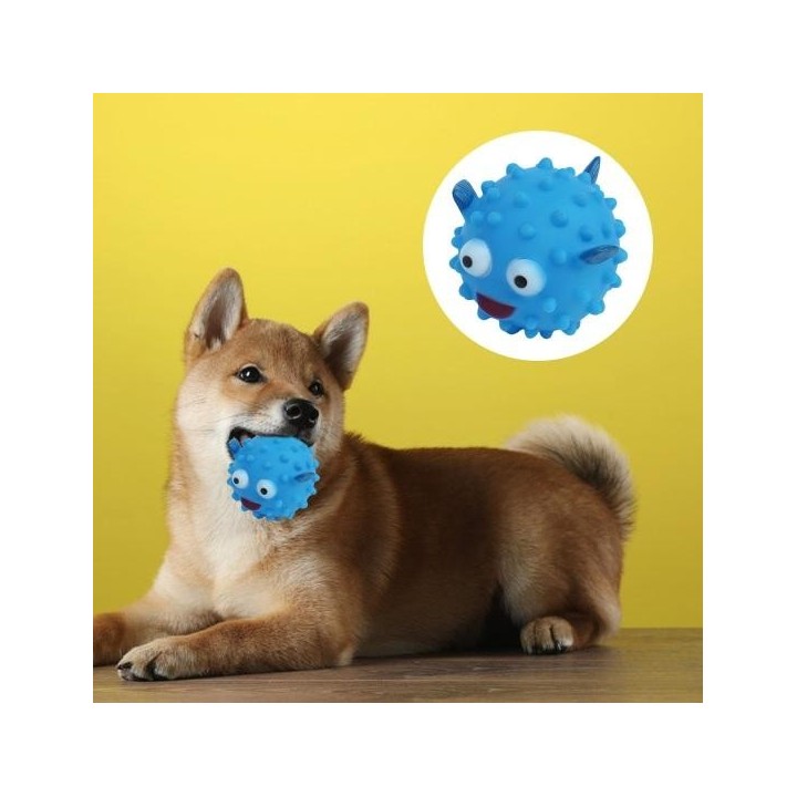 Haustier Hund Kauspielzeug Sound Biss Spielzeug Haustiere Molar Interaktives Spielzeug für kleine mittelgroße Hunde Katzen We