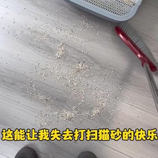 Katzenstreumatte, doppellagig, wasserdicht, urindichte Auffangmatte, leicht zu reinigen, rutschfeste Toilettenunterlage, Katz