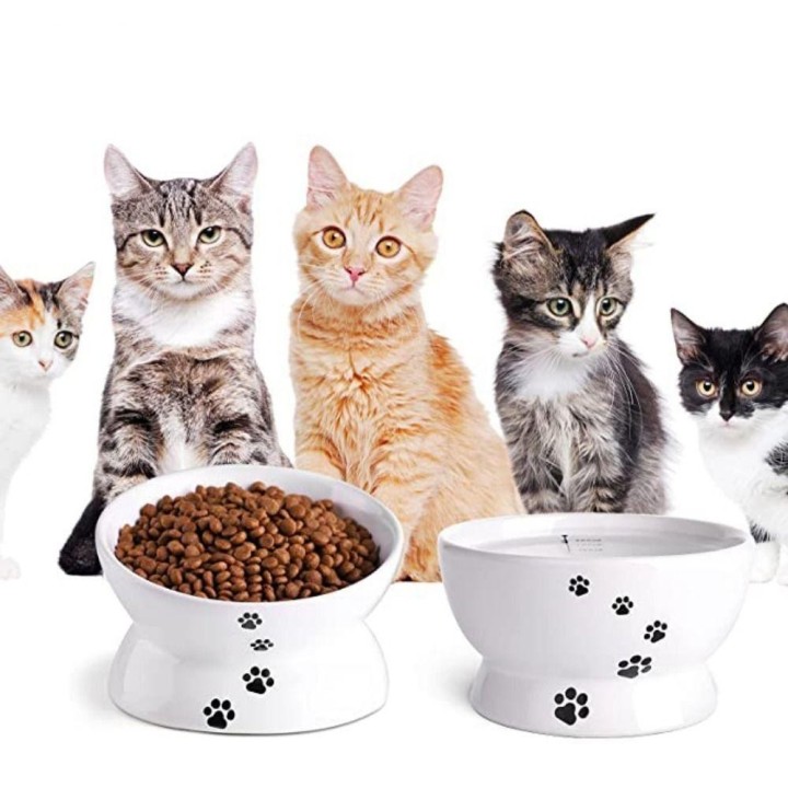 Haustierzubehör Anti-Umkippen Katzenfutter Schüssel Hund Slow Feeder Kätzchen Fressnapf Katze Wasser Schüssel flat mouth blau