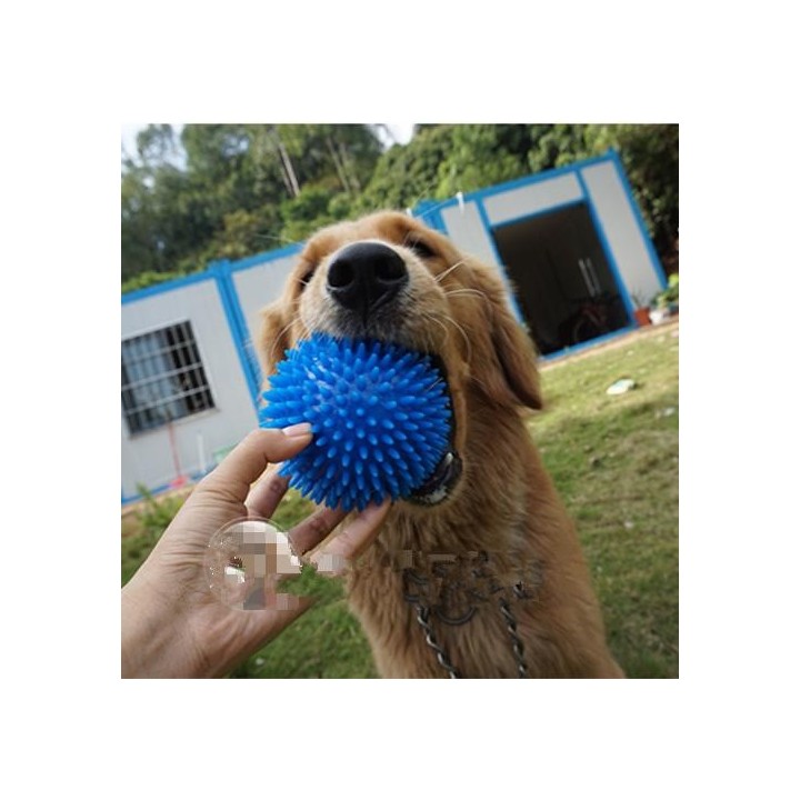 Hund Zähne Kauen Dorn Bälle Haustier TPR Weichen Grat Elastische Ball Hund Biss Sounding Outdoor Training Interaktives Kauen