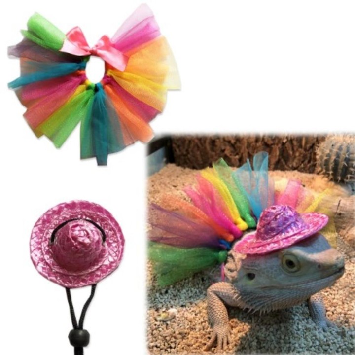 Anti-Verschleiß-Tutu-Rock, Garn, Bartagamen-Kleid, wunderschönes Eidechsenkleid, Bartagamen-Kleid