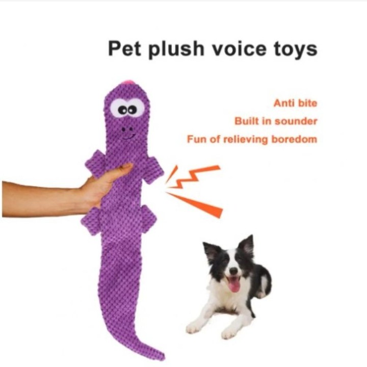 Verschleißfester Plüsch, bissfest, Haustier-Sound-Spielzeug, weicher Hund, Plüsch-Hundespielzeug, Hund violett