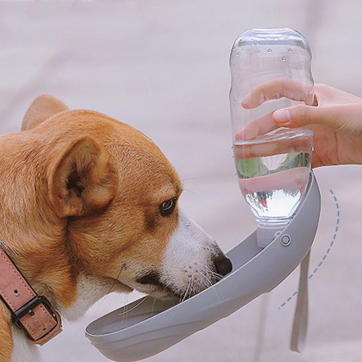 Haustier Hund Ausgehen Wasserkocher Trinken Brunnen Tragbare Wasser Tasse Trinken Brunnen Haustier Wasser Flasche Hund Zu Fuß