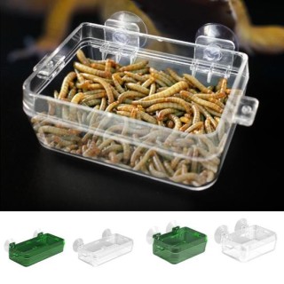 Futterwasser Große Kapazität Praktische abnehmbare Eidechse Gecko Krabbelnapf Reptilienfutter S grün