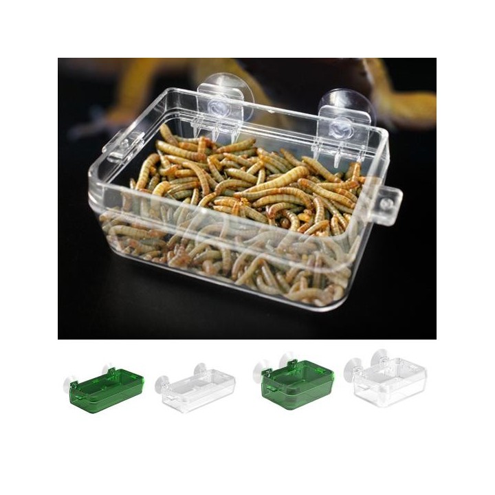 Futterwasser Große Kapazität Praktische abnehmbare Eidechse Gecko Krabbelnapf Reptilienfutter S grün