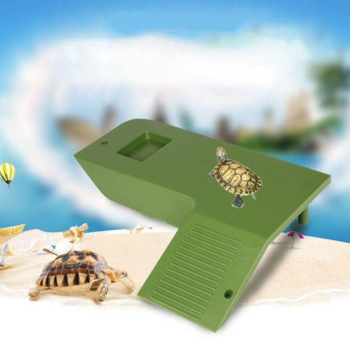 Eidechse, Frosch, Skorpion, Schildkröten-Lebensraum, Schildkröten-Aalplattform, Schildkrötenleiter, Reptilien-Schwimminsel S