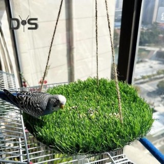 Reptilien-Hängematte mit verstellbarem Seil, künstliches Hängebett, kleine Haustier-Schaukelmatte, Kletterplattform, Spielzeu