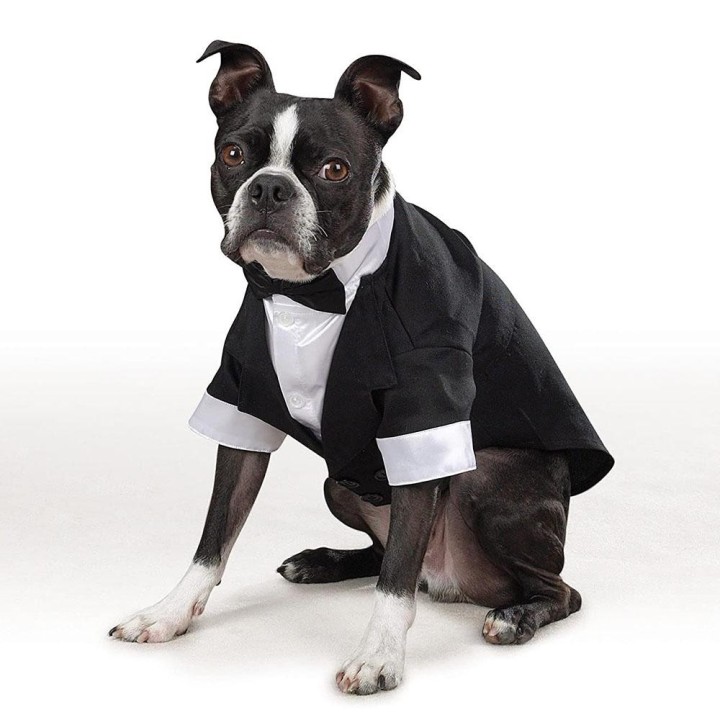 Hunde-Smokinganzug-Kostüm, Haustier, Katze, Hund, Hochzeit, Geburtstag, Party, formelles Hemd mit Fliege für Welpen, kleine u