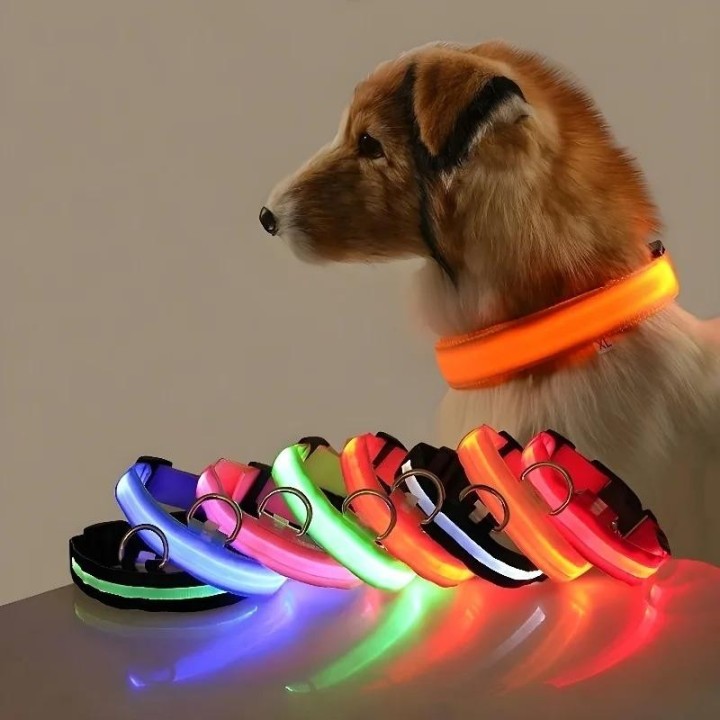 Hundehalsband aus Nylon, LED-Nachtsicherheitsblinken, im Dunkeln leuchtende Hundeleine, Haustierhunde, leuchtendes fluoreszie